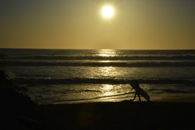 DSC_7280 (Large).JPG